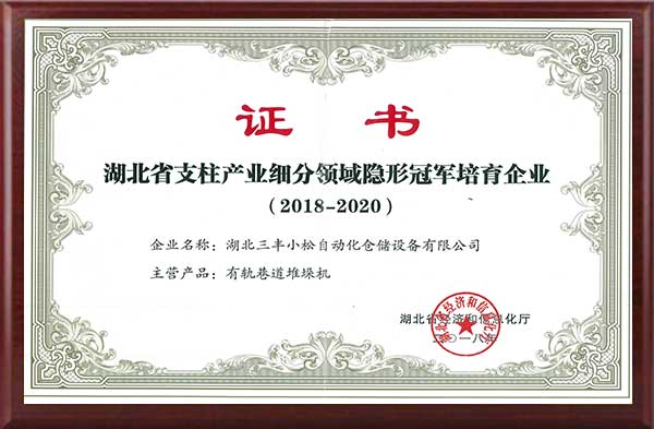 Hubei Province pillar industry champion training enterprise